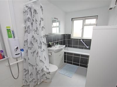 Picture 11